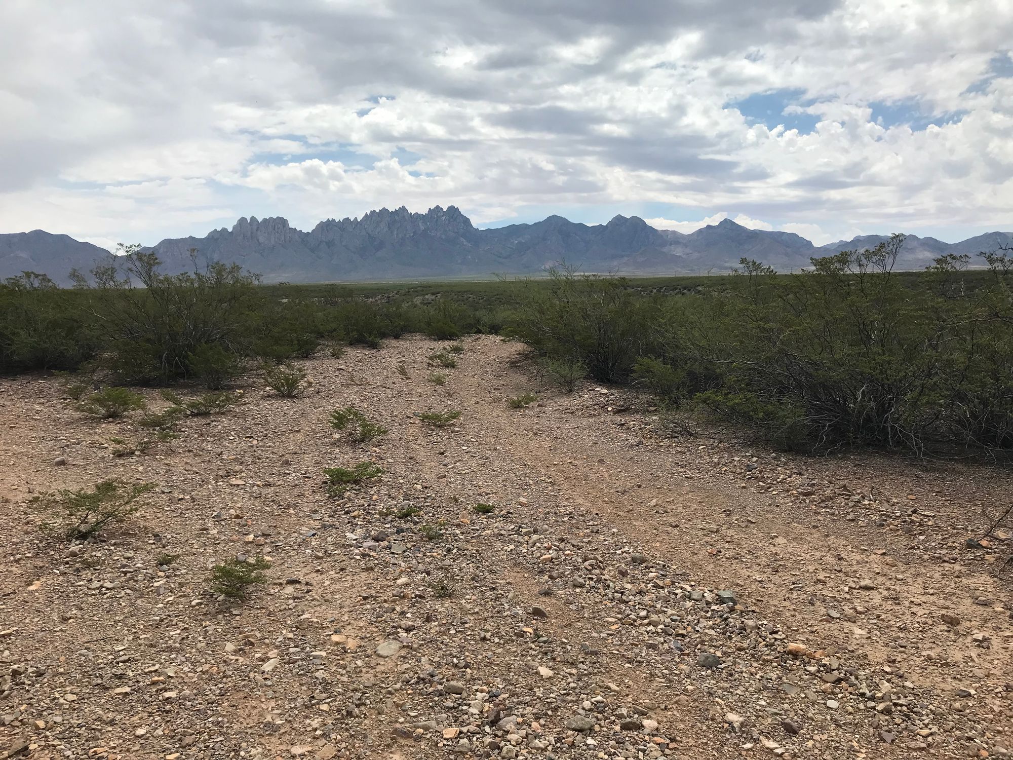 Photo of the Organ Mountains, Las Cruces, NM
